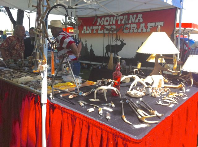 Antler exhibit